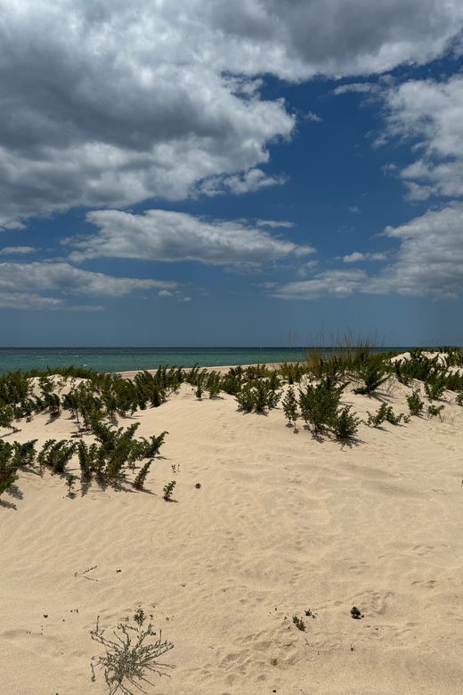 Algarve, Lisbon; V.I.P. Womens Road Trip With Female Guide - Experience and Highlights