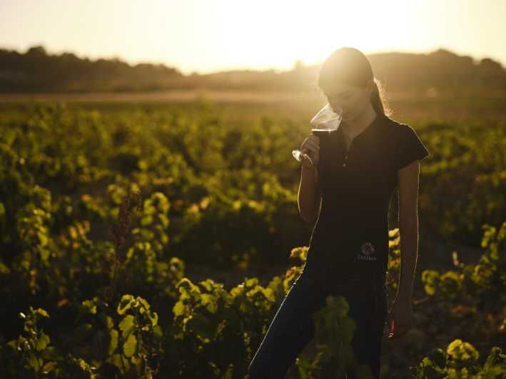 Alicante (Pinoso): Tour Experience Back From the Vineyard to the Glass