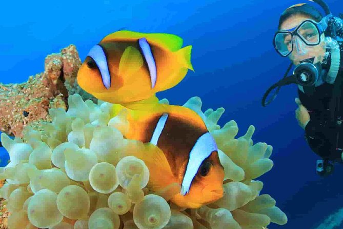 All Inclusive: Bali Snorkeling at Blue Lagoon and Tanjung Jepun - Location