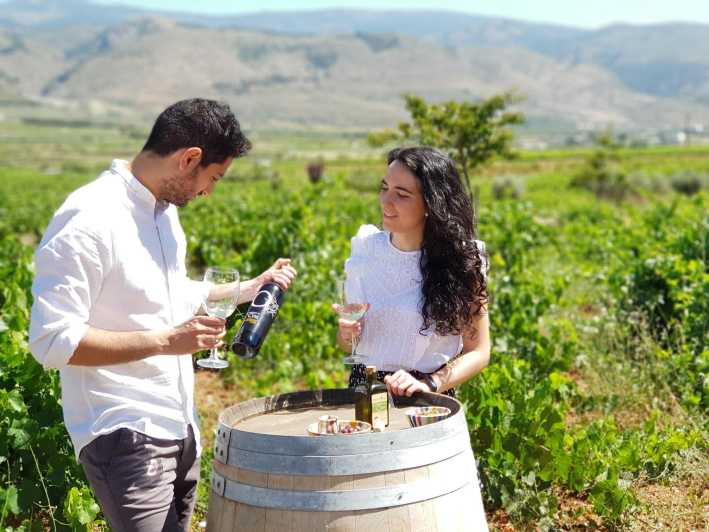 Almería: Wine Tour and Aperitif From La Alpujarra in Laujar - Overview and Pricing