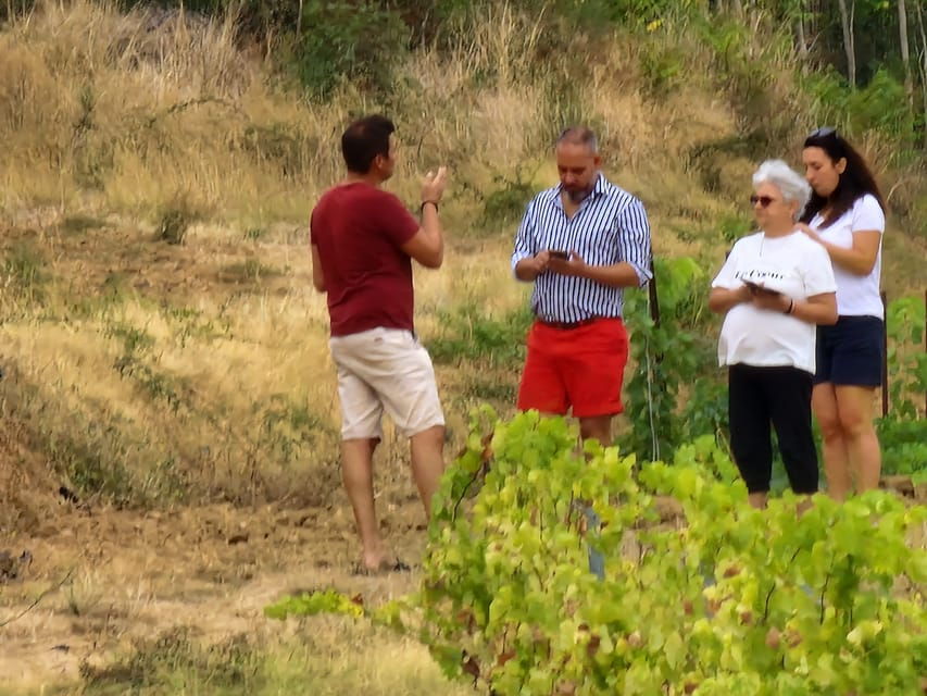 Alt Emporda Wine Tasting With Breakfast and Lunch