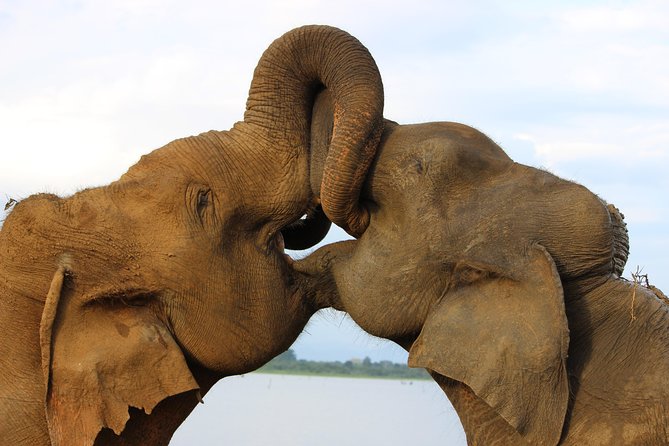 Amazing Sri Lanka (25 Days)