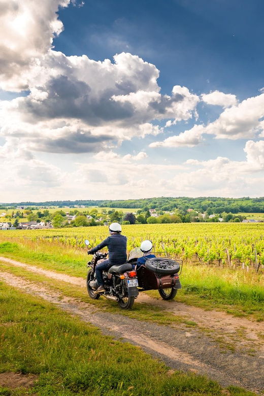 Amboise: Sidecar Tour With Wine Tasting