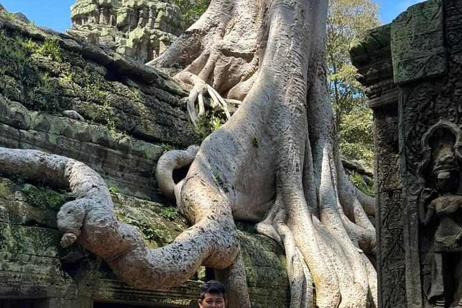 Angkor Wat, Ta Prohm, Angkor Thom & Phnom Bakheng Sunset Tours - Tour Highlights