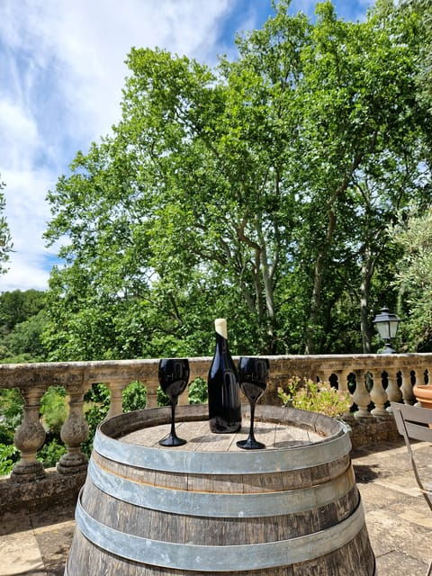 Aniane: Discover the Art of Blind Tasting at Château Capion - Experience Overview