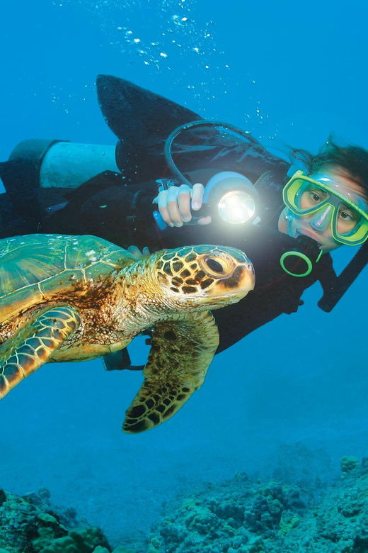 Antalya/ Belek: Scuba Diving Tour With 2 Time Dive & Lunch
