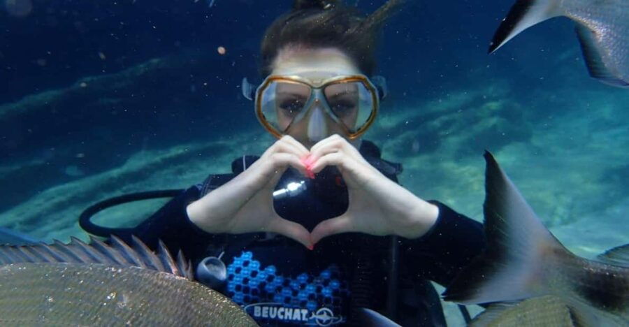 Antalya Scuba Diving Tour, With Lunch & Return Transfers - Tour Overview and Pricing