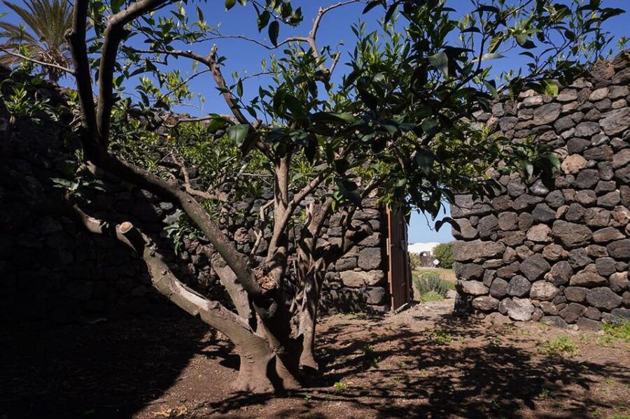 Archaeological Tales Around Pantelleria