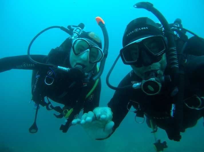 Argelès-Sur-Mer: First Dive in the Marine Natural Park