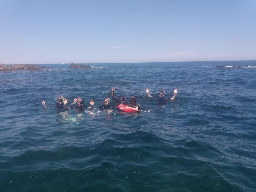 Argelès-Sur-Mer: Snorkeling Into the Marine Natural Park