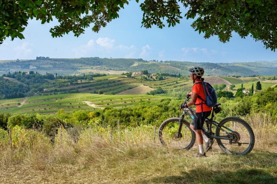 Asciano & Crete Senesi:E-BIKE Tour+Pick-up & Drop-off by Van - Tour Overview