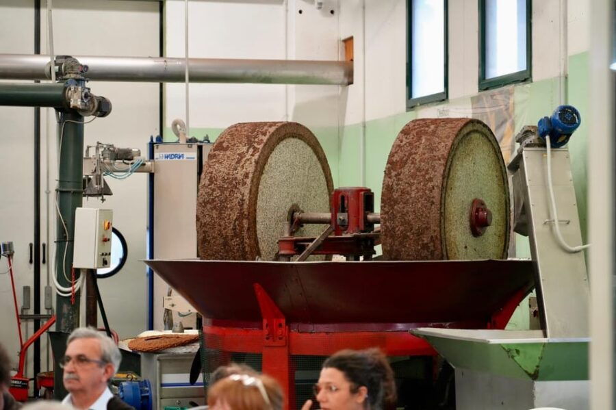 Ascoli Piceno: Olive Oil & Wine Tasting Private Driven Tour