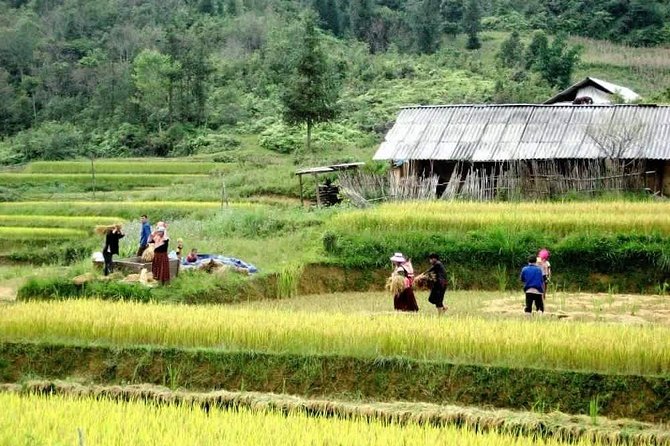 Authentic Sapa Trekking With Local Family Homestay (2d1n by Bus) - Itinerary Highlights