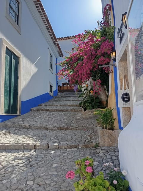 Aveiro, Obidos and Cabo Da Roca: Day Trip/Transfer to Lisbon - Itinerary and Stops