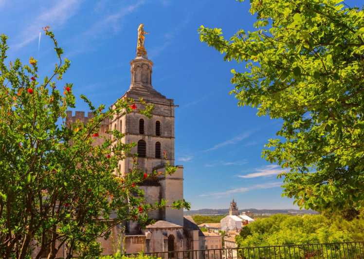 Avignon: Express Walk With a Local in 60 Minutes - Highlights of the Express Walk