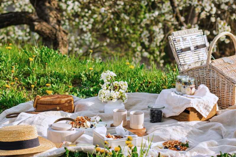 Avignon: Gourmet Picnic With a View of the Pont D’avignon