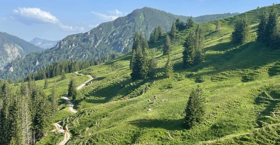 Bad Tölz: Private E-Mtb Tour River - Mountain - Lake - Tour Overview