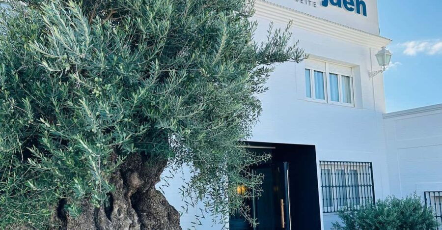Baeza: Extra Virgin Olive Oil Tour and Tasting at AOVELAND