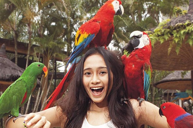 Bali Bird Park Entrance Tickets - Location and Meeting Point