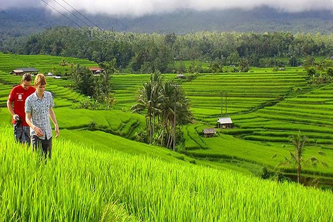 Bali Budget 5 Days, Tours & Air Port Transfers