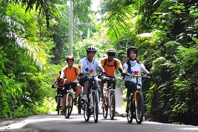 Bali Cycling and Ayung River Rafting Packages - Package Inclusions