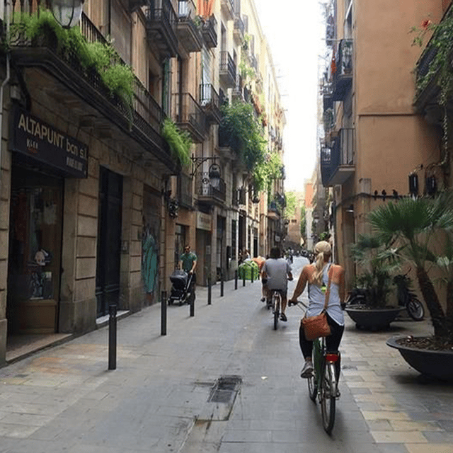 Barcelona: Customized Bike Tour of Cultural Highlights - Tour Overview