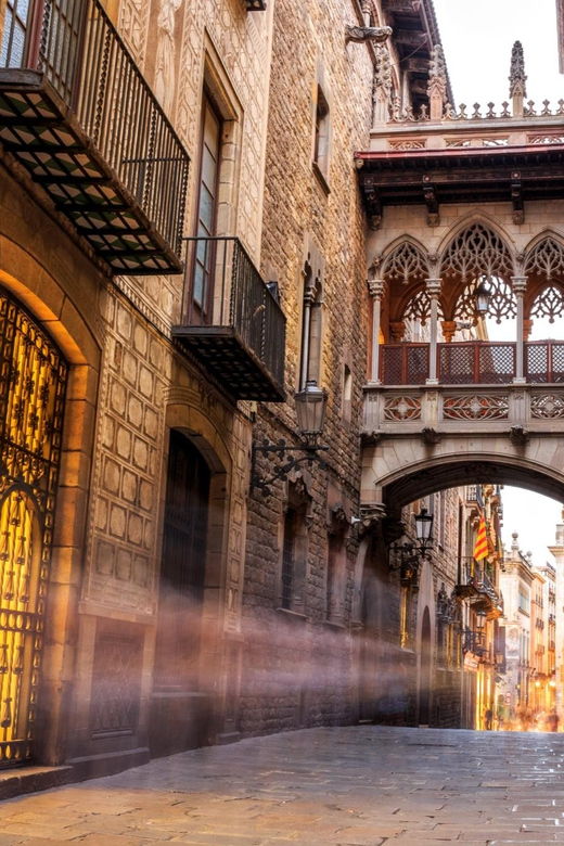 Barcelona, Gothic Quarter: Sights & Highlights Walking Tour - Tour Overview