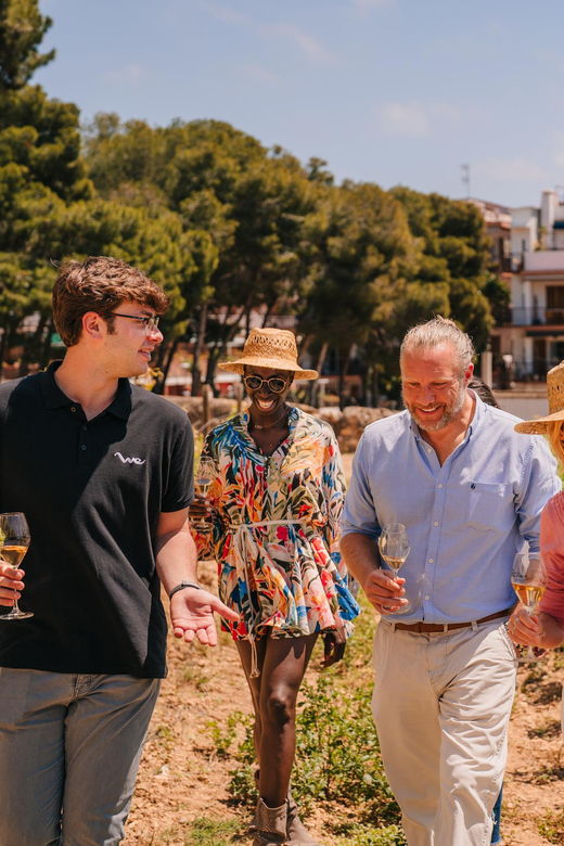 Barcelona: Montserrat Monastery & Sitges Winery Experience