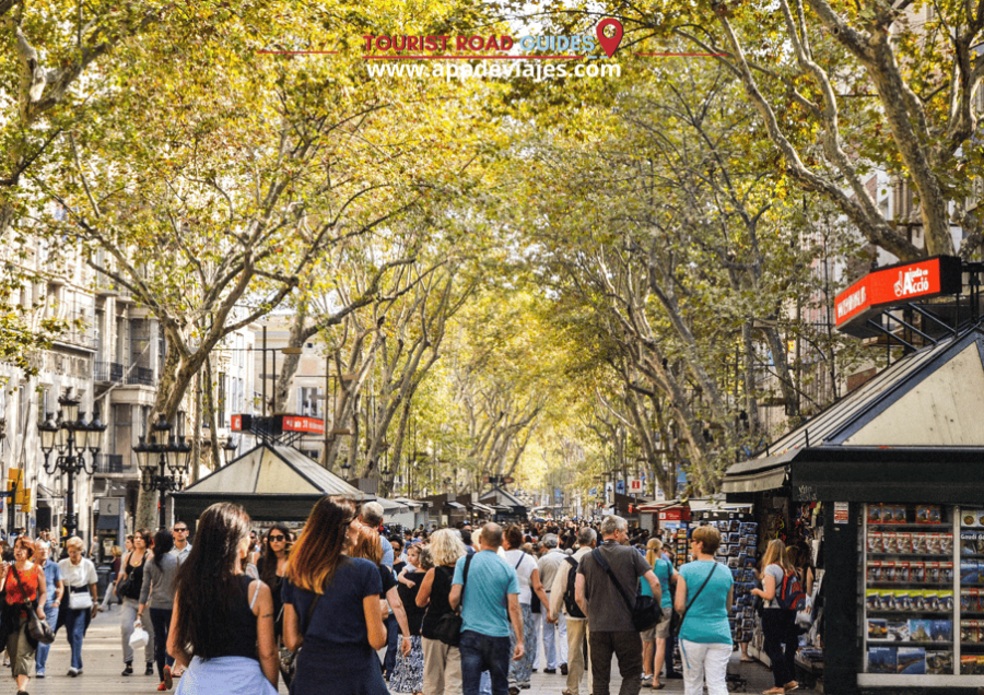 Barcelona Tour: Walking 6 Hours - Tour Overview
