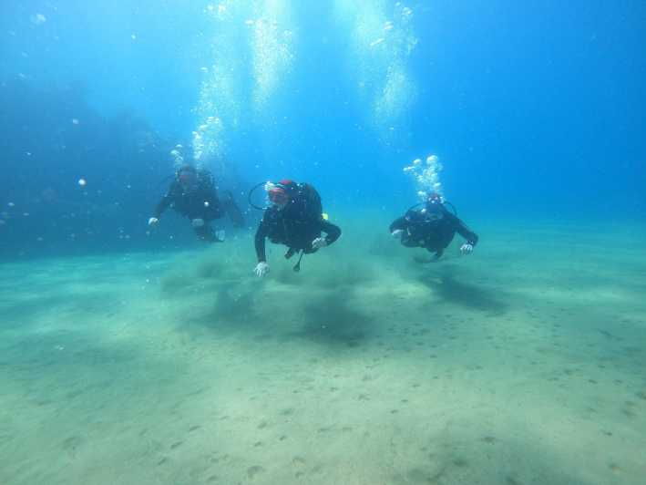 Basic Diver – Experience for Beginners With 2 Dives