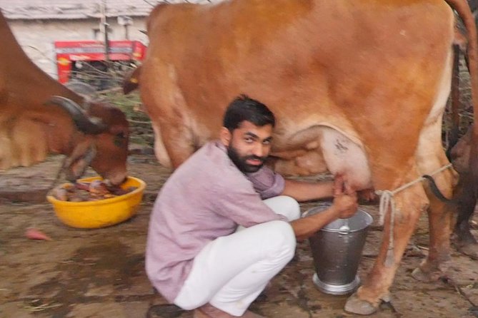 Be in Communion With Rustic Life Along With Taj Mahal Tour