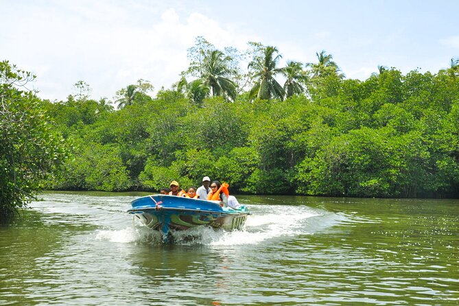 Bentota City Tour From Dikwella