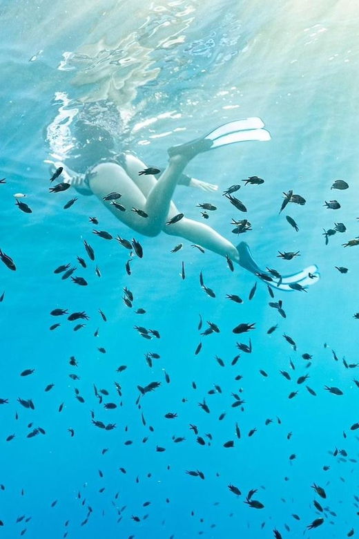 Bergeggi Island: Kayak and Snorkeling Tour in the MPA