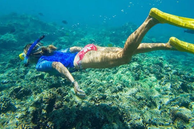 Best Bali Snorkeling At Blue Lagoon And Tanjung Jepun All-Inclusive - Pickup Details and Additional Info