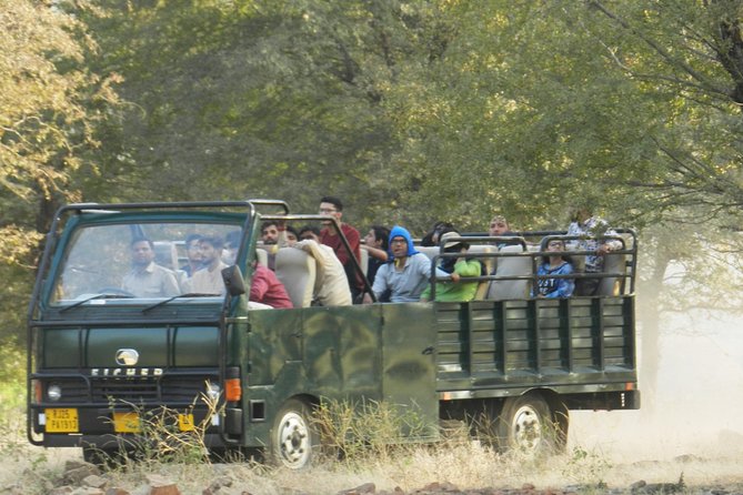 Best of Rajasthan With Ranthambore