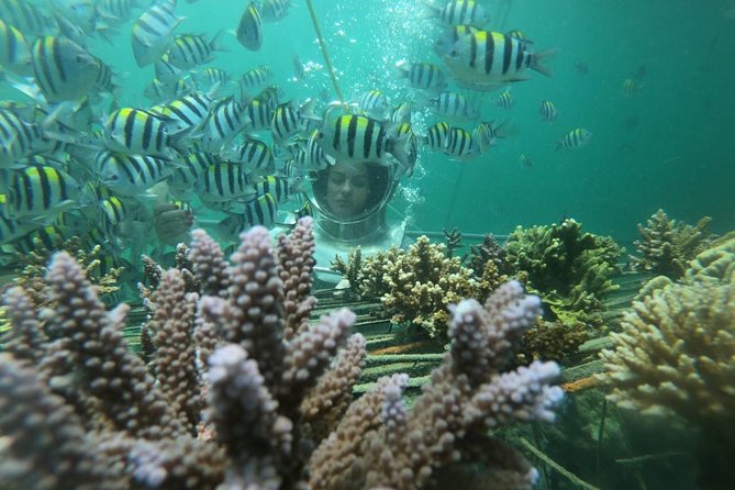 Best of Tanjung Benoa Tour : Bali Sea Walker Experience - Private Tour - Requirements and Recommendations for Participants