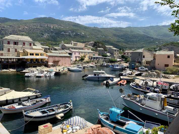 Between Calvi and Ile Rousse: Cap Corse Day Trip by Boat