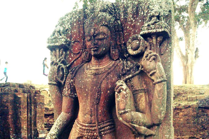 Bhubaneshwar to Bhitarkanika & Similipal Tiger Reserve Tour