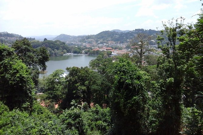 Bird Watching & Trekking in Udawattekele Sanctuary From Kandy