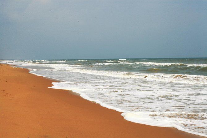 Birds & Beyond: Chennai to Pulicat Bird Sanctuary Day Tour