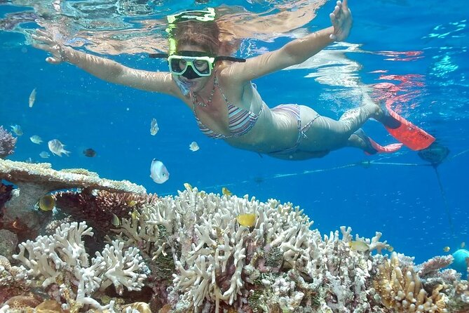 Blue Lagoon Snorkeling and All Inclusive Lempuyang Temple Tour - Pricing and Reservation