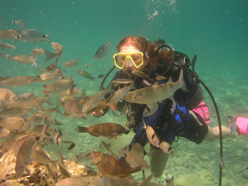 Bodrum Diving Day for Advanced and Beginner Divers - Overview of the Diving Experience
