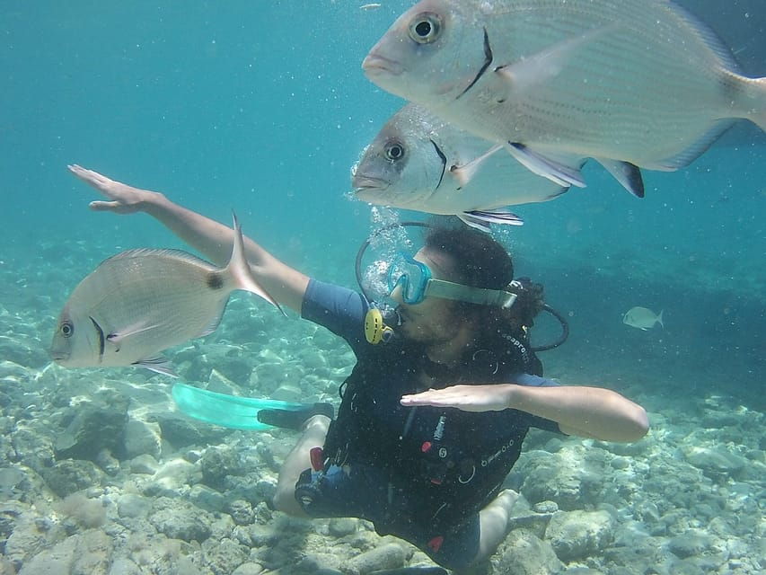Bodrum: Scuba Diving Trip With Lunch - Trip Overview and Pricing
