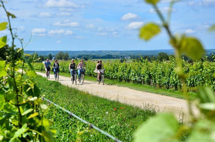Bordeaux Backcountry E-Bike Tour With Lunch & Wine Tasting - Tour Overview