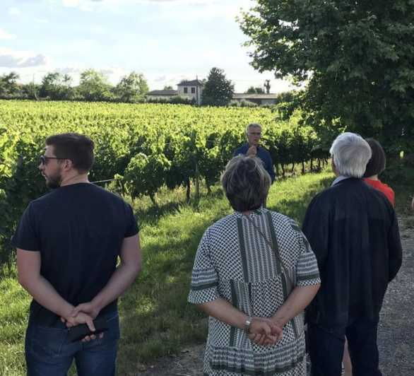 Bordeaux: in the Heart of an Organic Family Vineyard