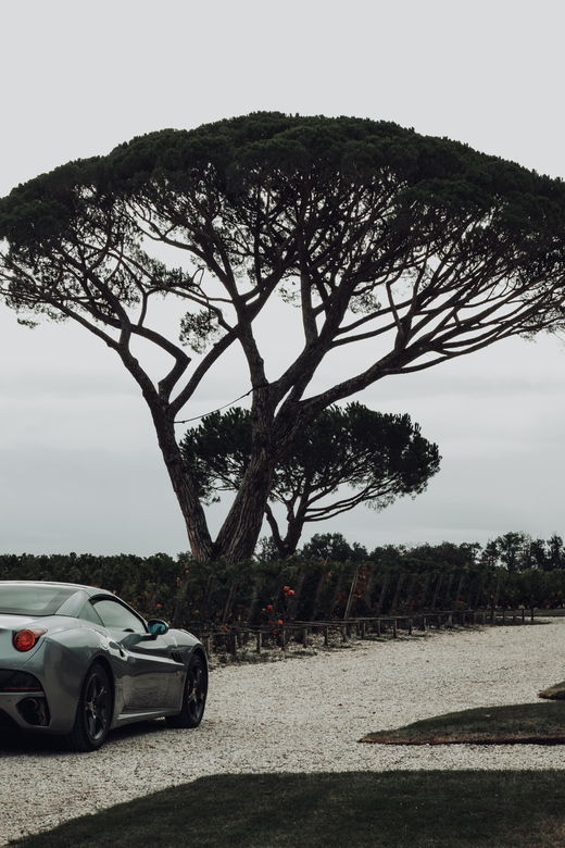 Bordeaux: Médoc – Gourmet Tour in Vintage Cars