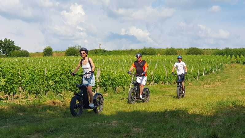Bordeaux: Trot Circuit + Wine Tasting of La Louvière Castle