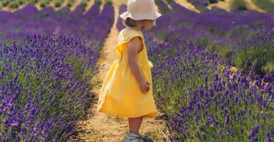 Brihuega: Lavender Fields and Town Photography Session - Overview of the Activity