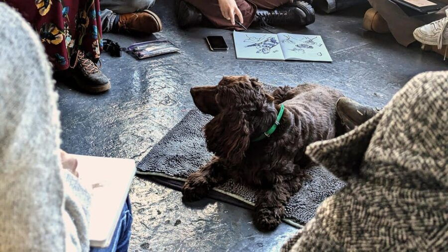 Bristol: Dog Life Drawing Led by Local Artist Cai Burton