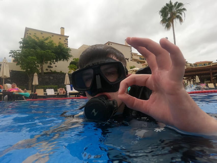 3 Best Scuba Diving Experiences In Adeje